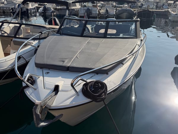 Professional boat detailing service